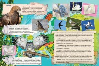 Животные и птицы нашей планеты