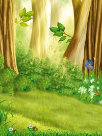 Мы идём в поход