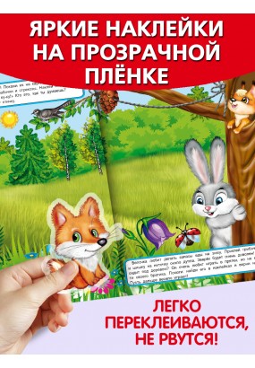 Мои лесные прогулки