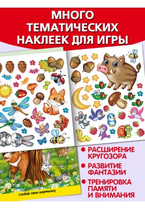 Мои лесные прогулки