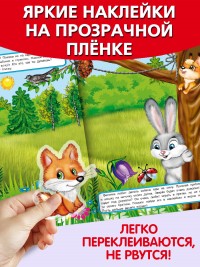 Мои лесные прогулки