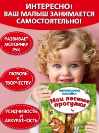 Мои лесные прогулки