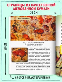 Животные от диких к домашним