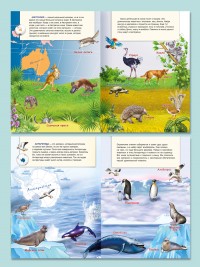 Путешествие по континентам.(книжка с многоразовыми наклейками) 9785001614548