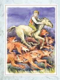 Дети капитана Гранта (мягкая обложка)